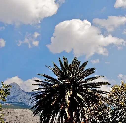 Il Giardino דירה *